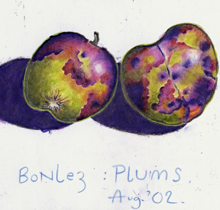 bonlez plums